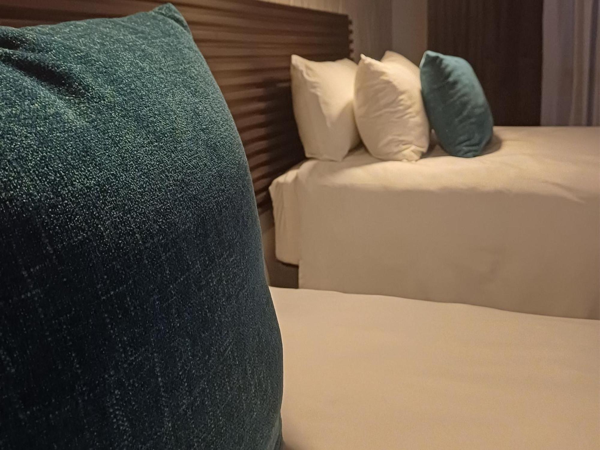 Delux Guesthouse Volksrust Εξωτερικό φωτογραφία